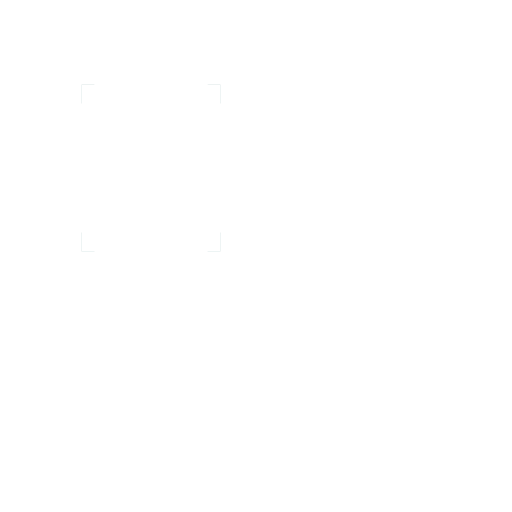 Website Icon